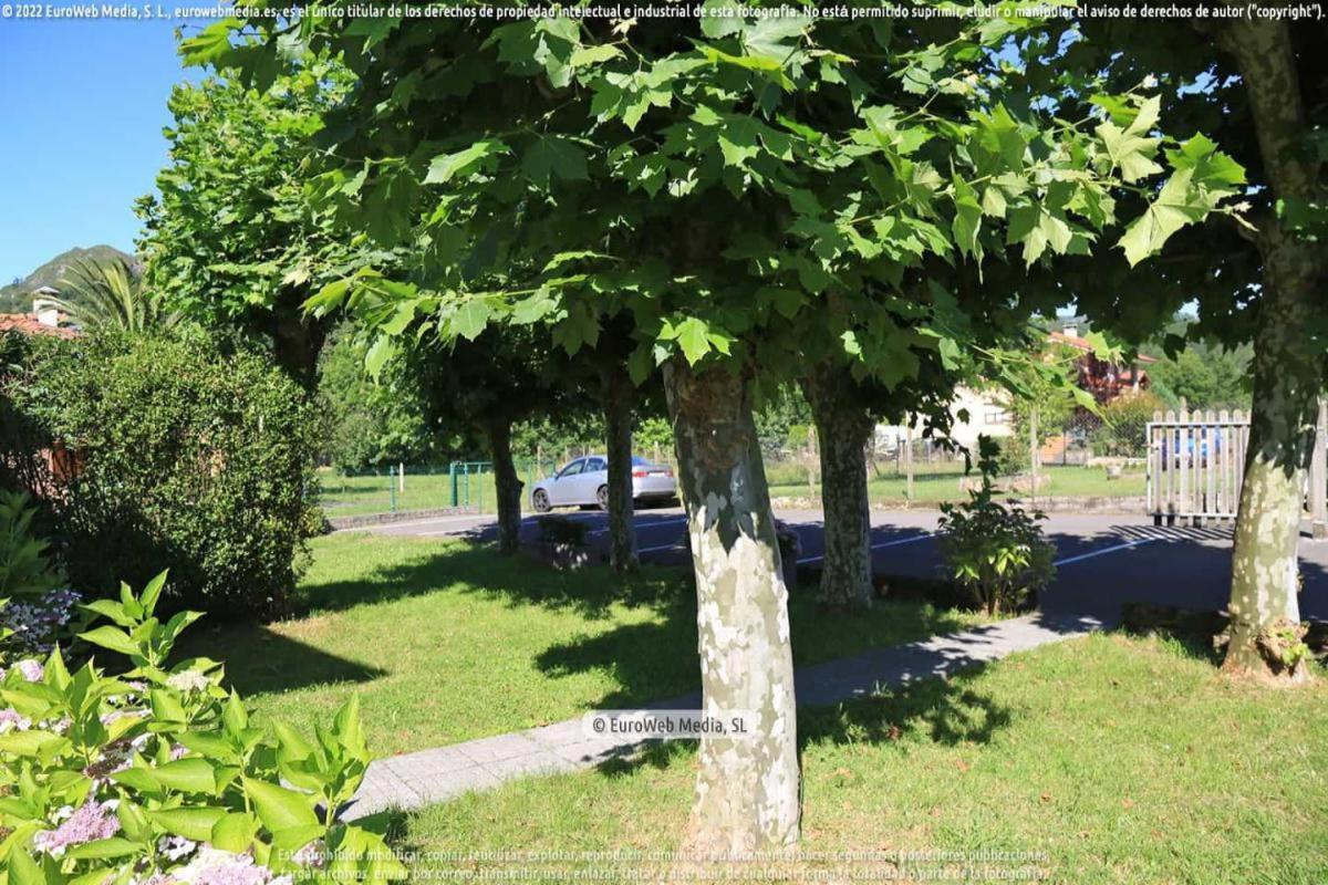 El Puentin Del Sella Con Wifi Y Parking Gratuito Apartment Onís Exterior foto